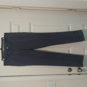 Massimo Dutti Regular Fit Blue Chino Pants Men's 34